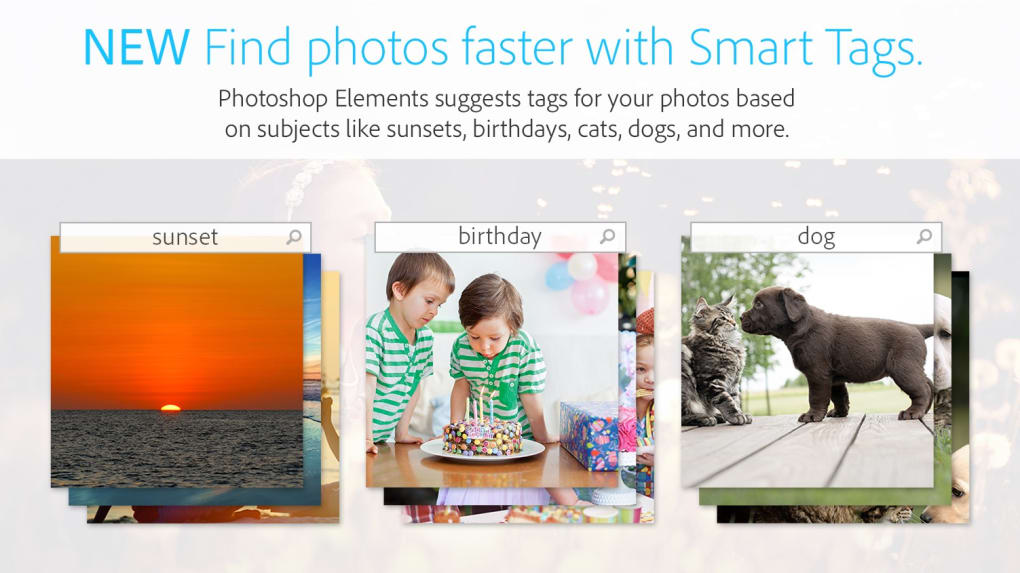 download adobe photoshop elements 15 for mac free
